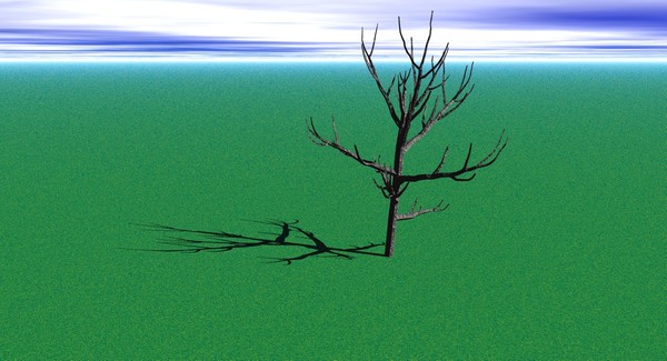 the baretree