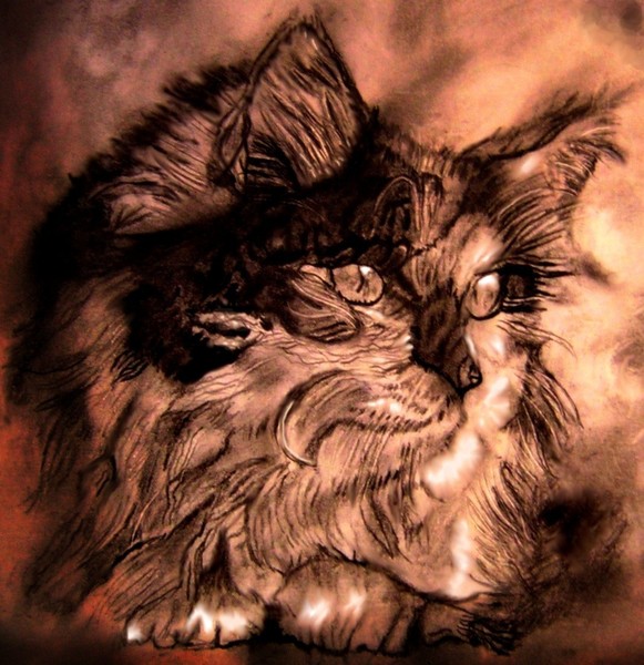 Catastrophe