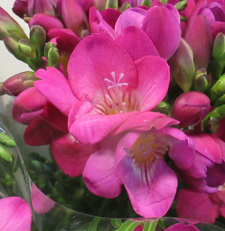 HAPPY WEEK-END !!!