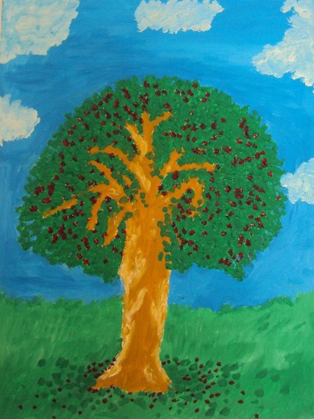 cherry tree