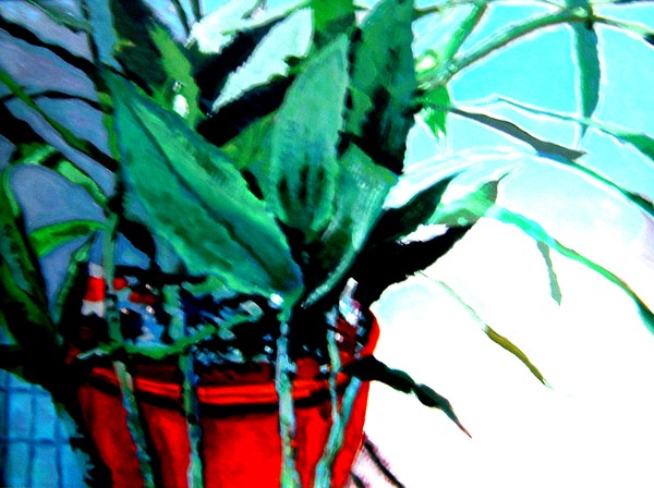 Potted Freedom