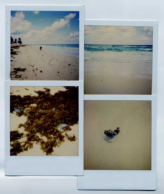 cuban polaroid collage
