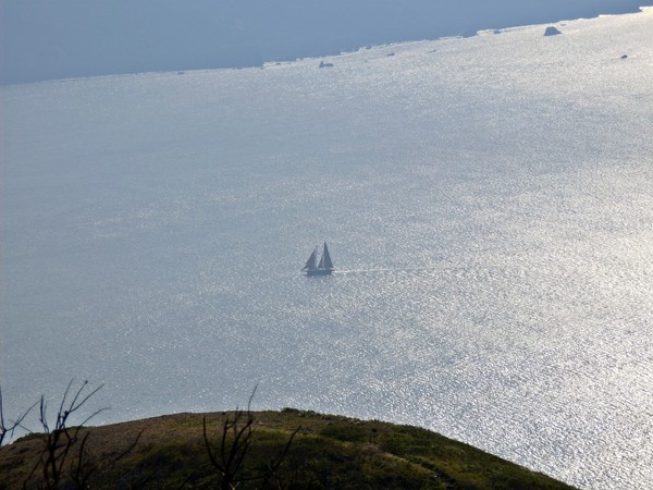 Sail Away