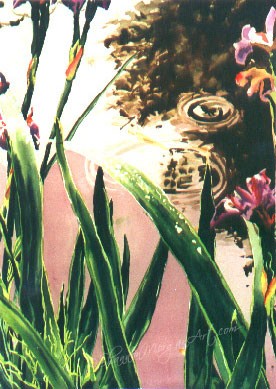The Pond