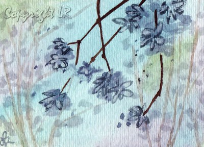 Spring Blossoms