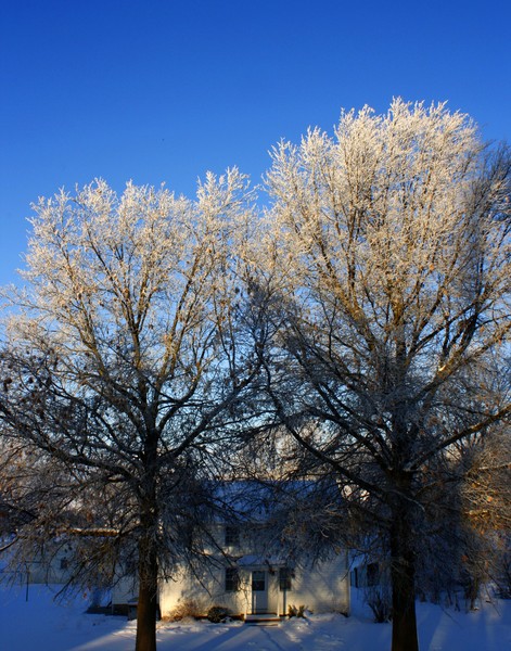Winter Sunrise.ne1060