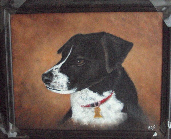 Commission Pet Portraits