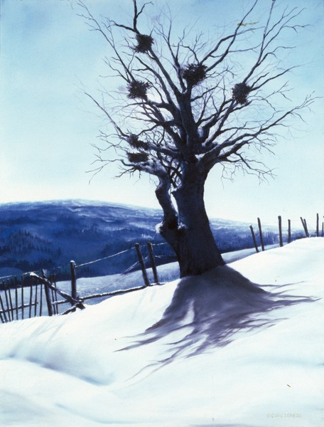 Awaiting Spring