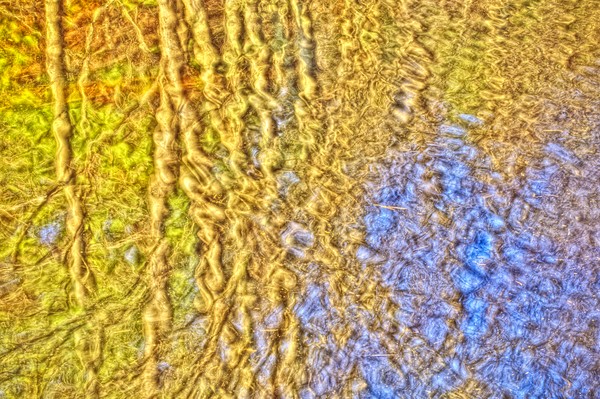 SurrealTreeReflections SturbridgeMA