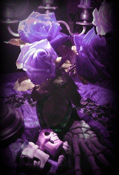 Dark Roses