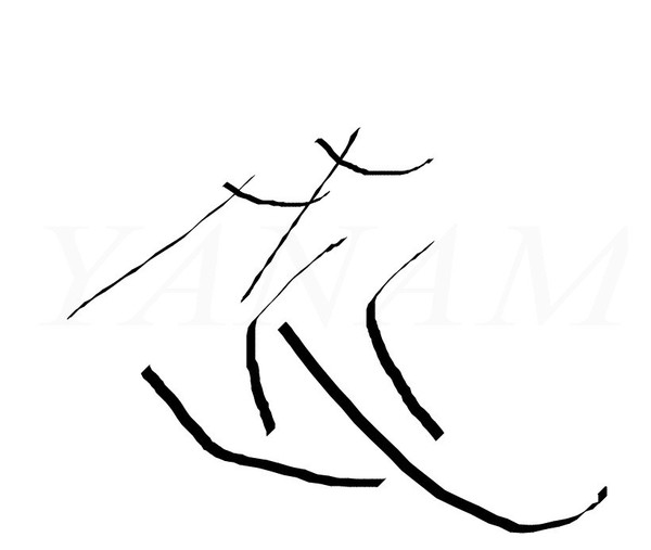 ski