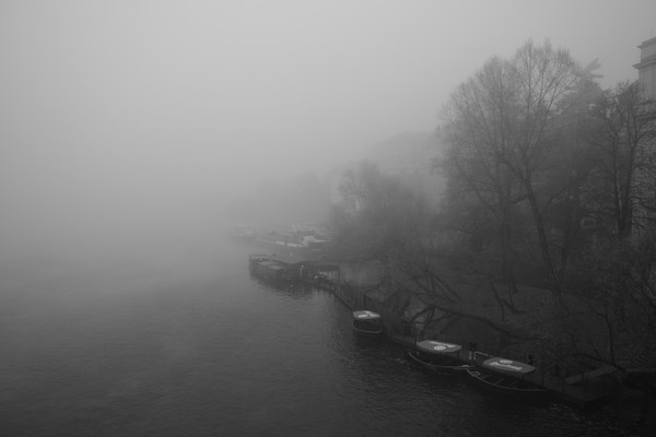 Fog and River