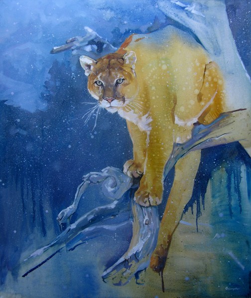The Cougar