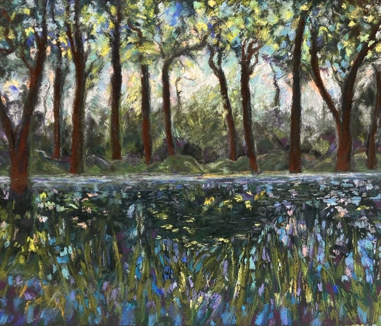 Forest Lagoon