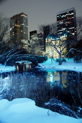 5-Snow bridgeNYC