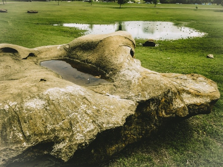 Head of Stone