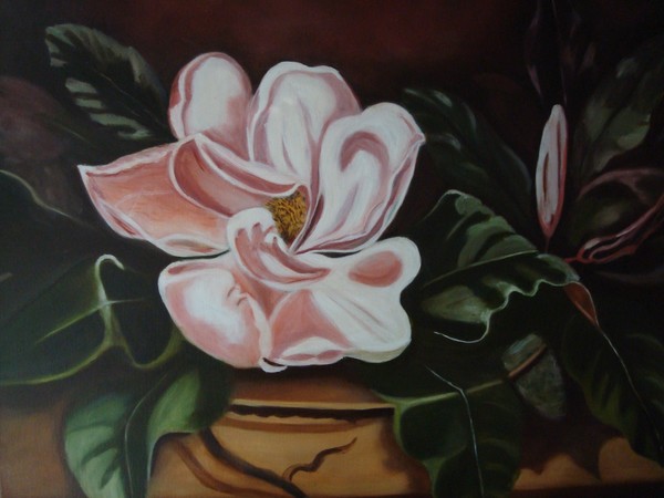 Pink Magnolia