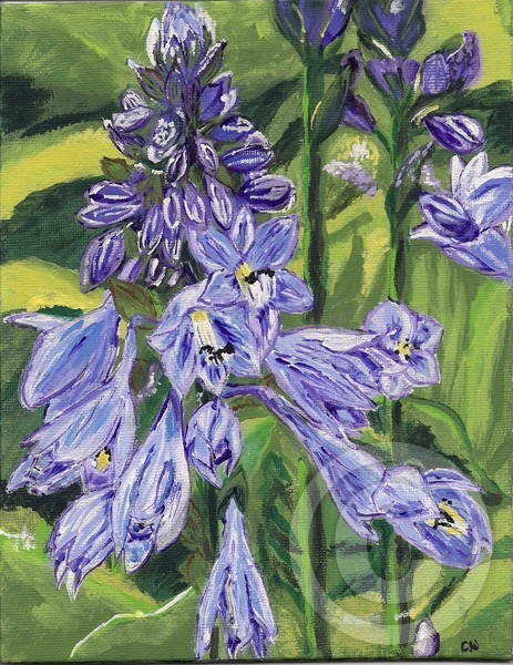 Blue Floral 
