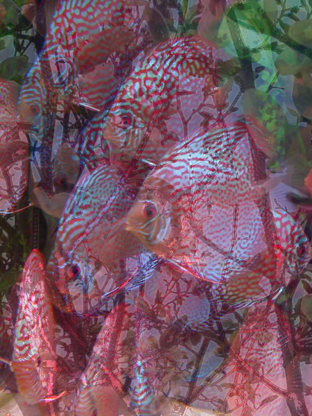 Manipulation 17