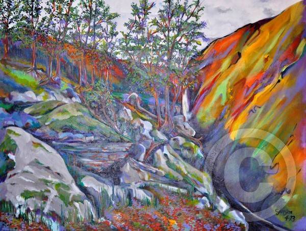 Color in the Canyon