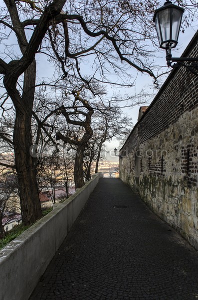 Prague 006