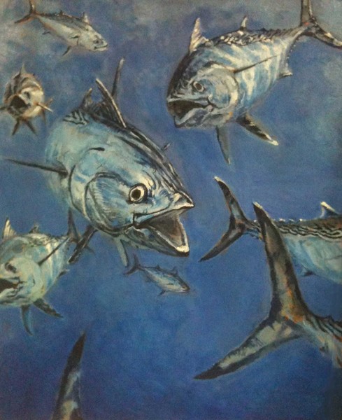 false albacore