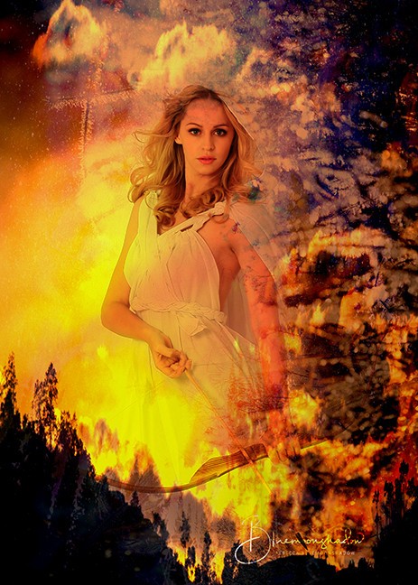 Phoenix Rising