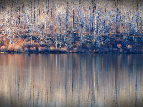 Desolate Splendor