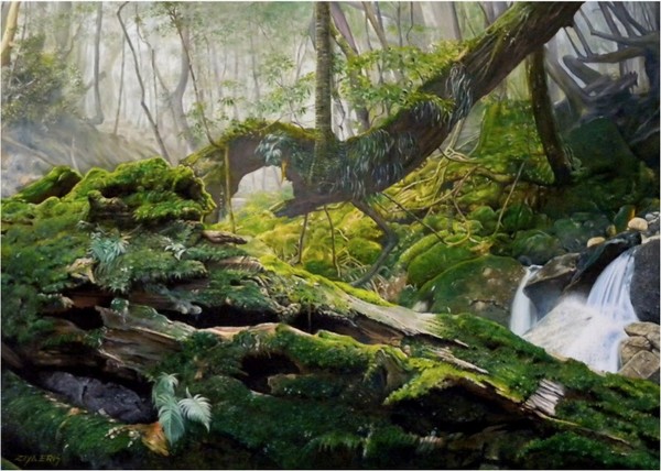 Rain Forest