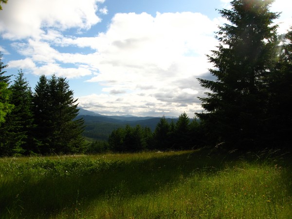 Majestic Oregon