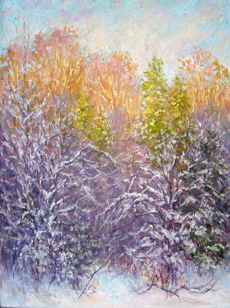 Winter forest