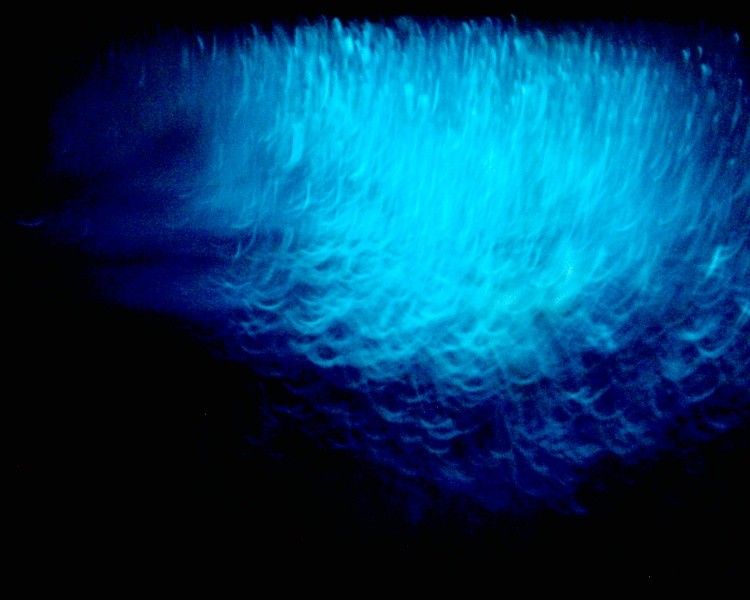 Abstract wawes