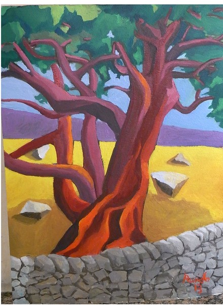 L'albero di carrubo