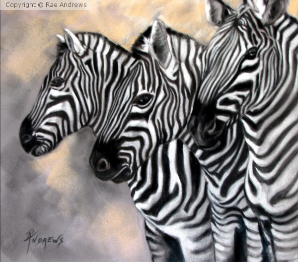 Zebra Crossing