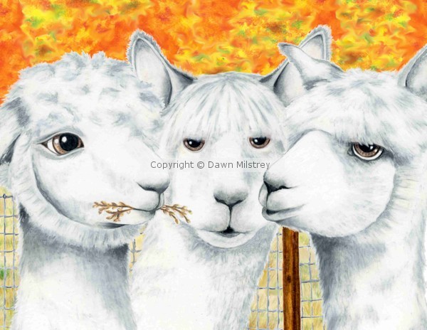 Gossiping Alpaca
