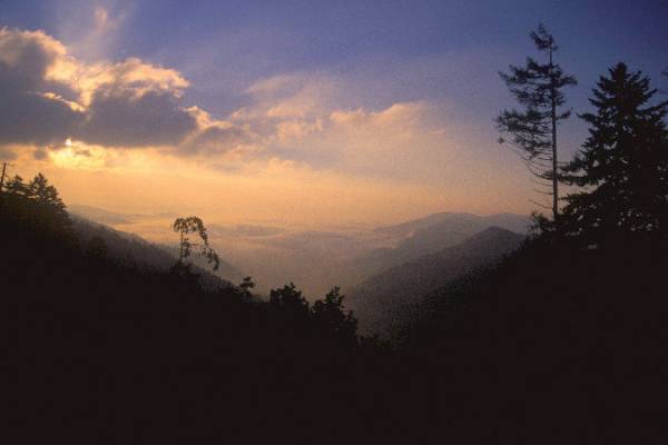 Sunrise in the Smokies