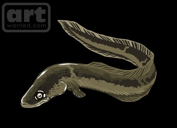 eel2