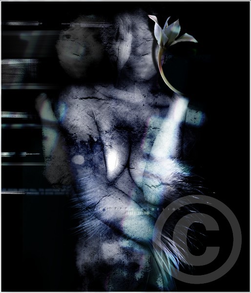 Siren