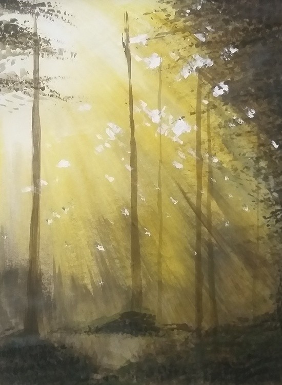 Light in the woods