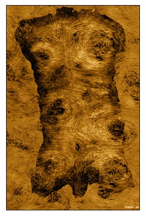 Torso!