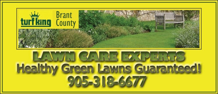 turf king brant county