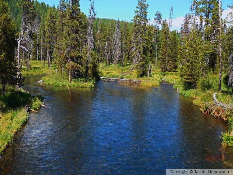 forks in the river