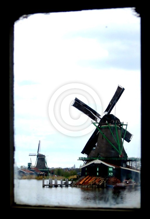 01 IMG 2008
