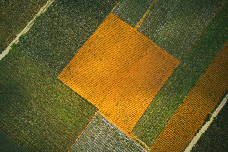 DJI 0023 DG