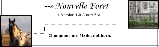 nouvelle foret 2