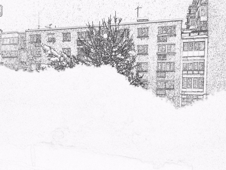 Snow and winter was came