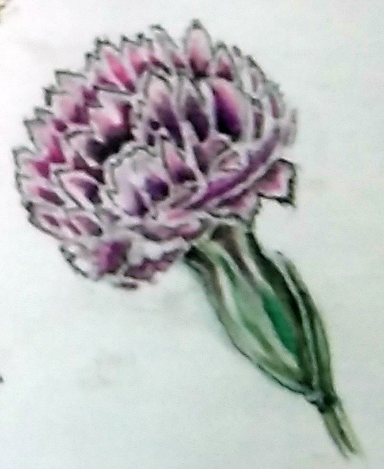 Chrysanthemum Watercolor