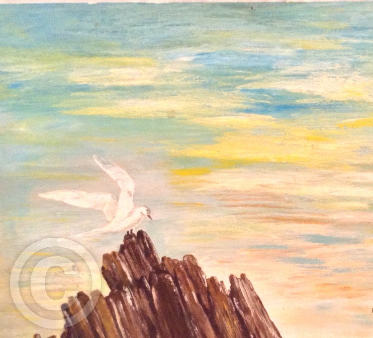 Seagull in the Sky