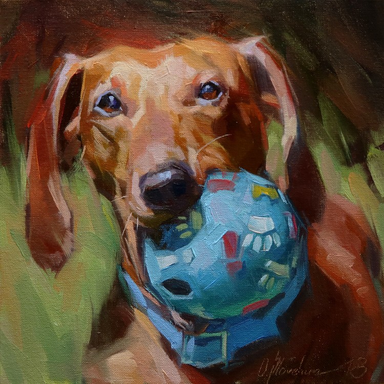 A Favorite Toy