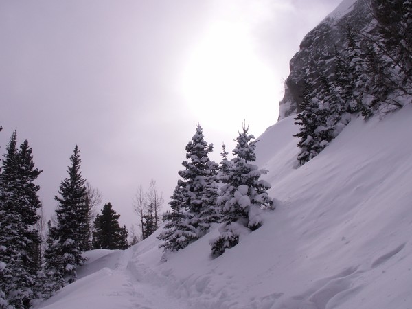 Snowshoein'